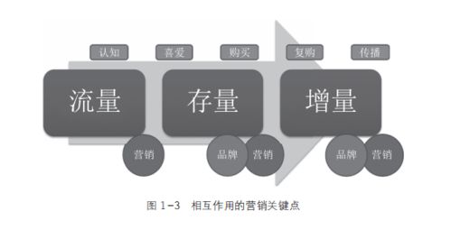 工作10年,為什么還有人將品牌建設(shè)和營銷混為一談